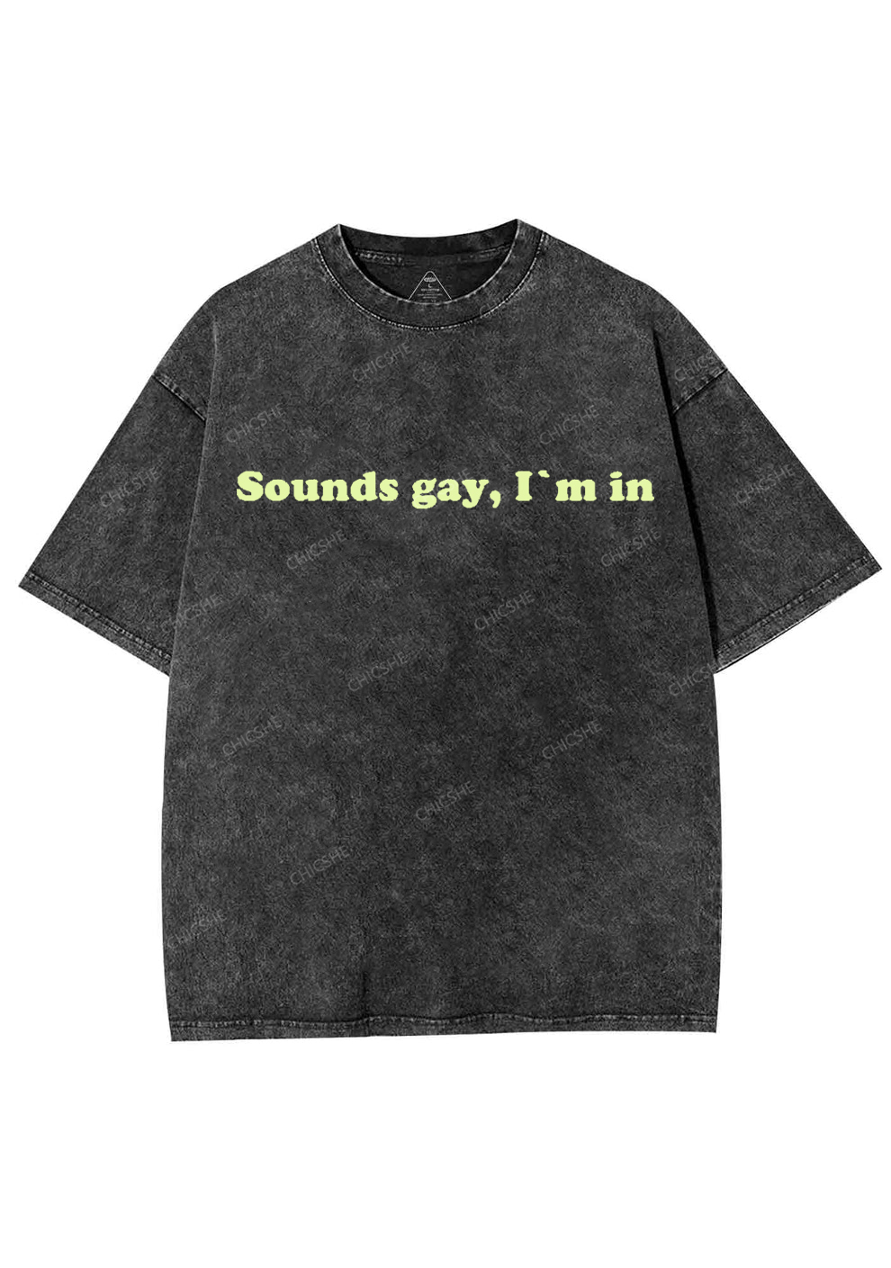 Sounds Gay Y2K Washed Tee Chicshe