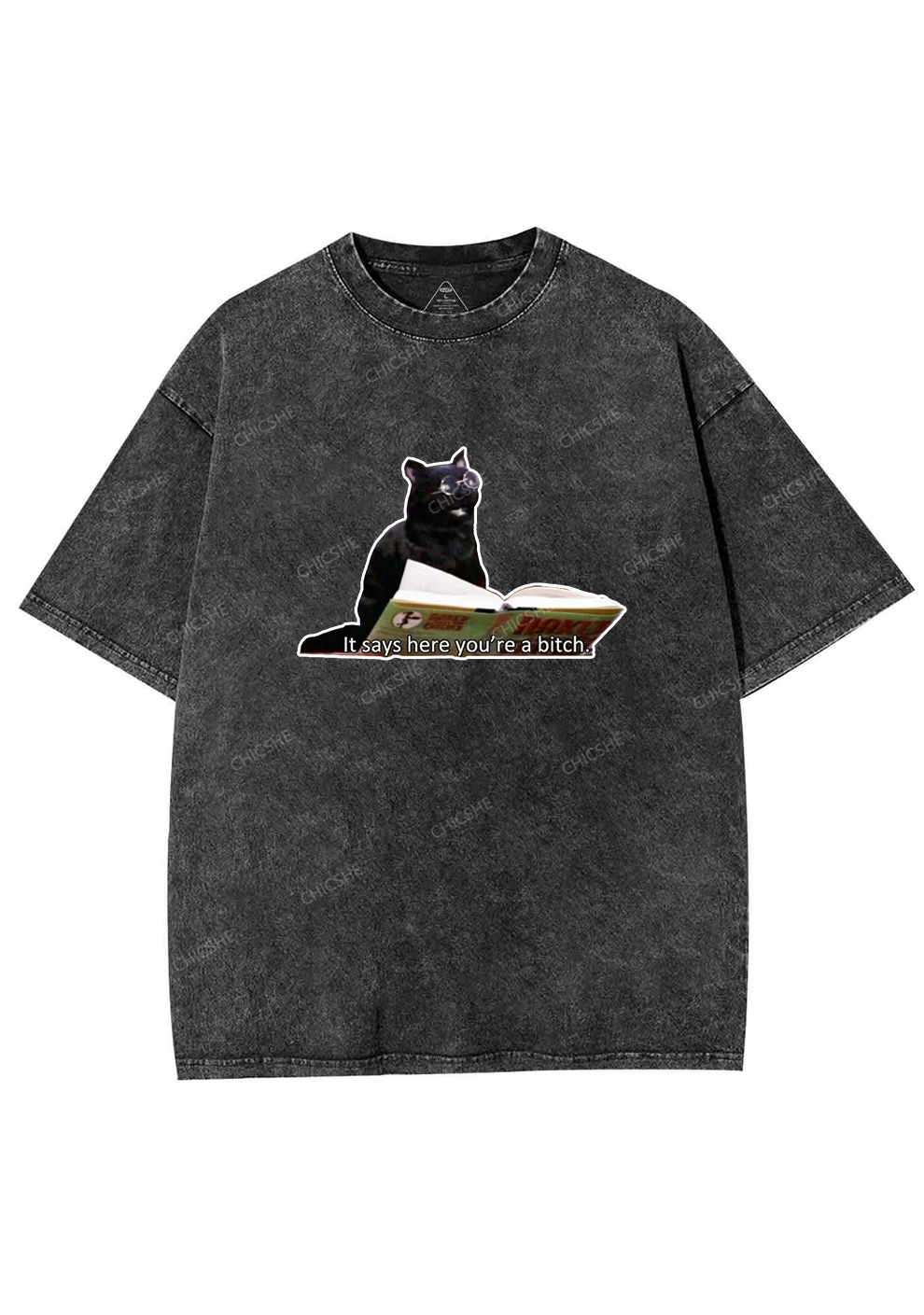 It Says Here You're A Bixxh Y2K Washed Tee Chicshe