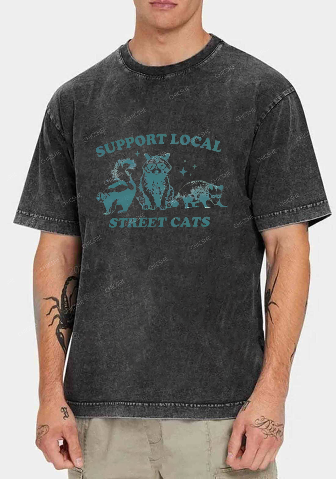 Support Local Street Cats Y2K Washed Tee Chicshe