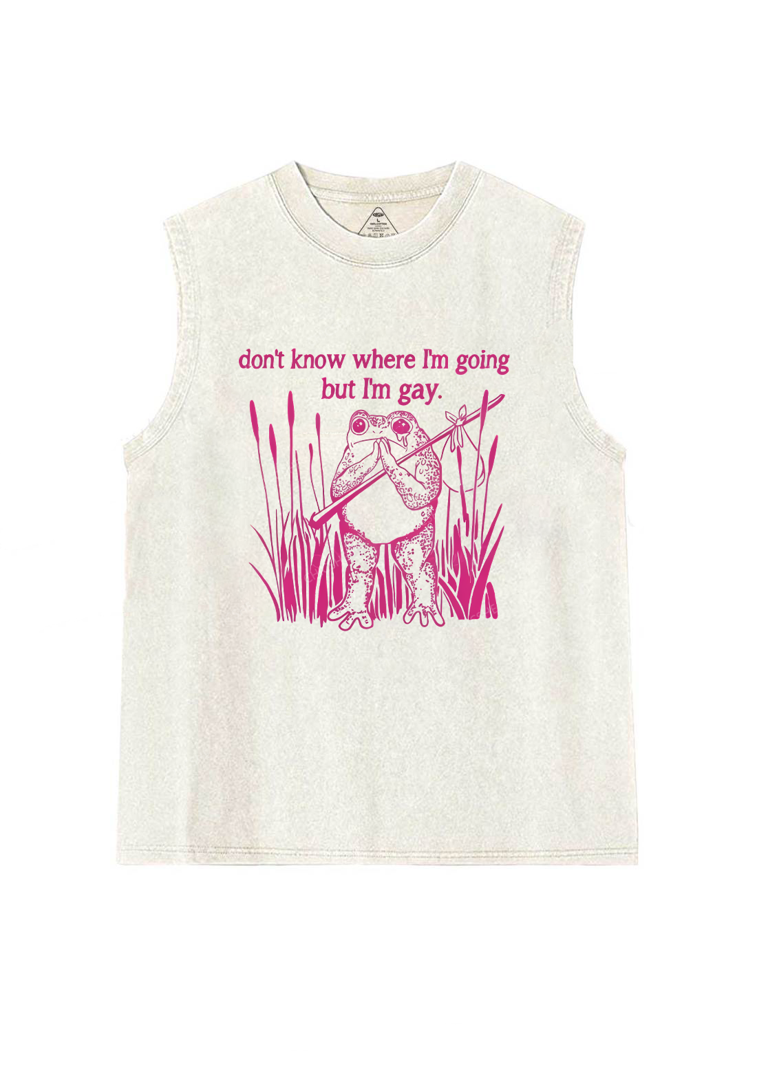 But I Am Gay Frog Pride Y2K Washed Tank Chicshe