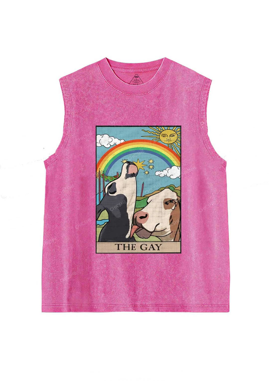 The Gay Y2K Washed Tank Chicshe