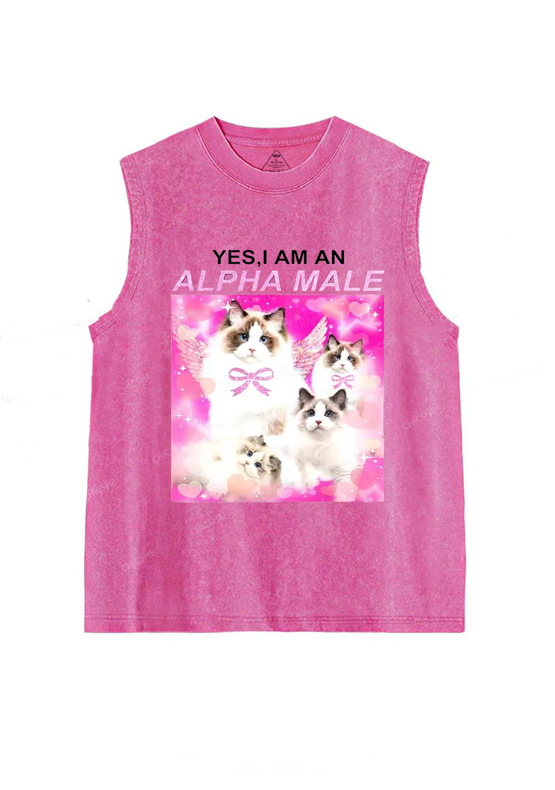 Alpha Male Y2K Washed Tank Chicshe