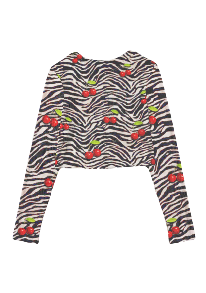 Cherry Zebra Print Y2K Mesh Long Sleeve Crop Top Chicshe 