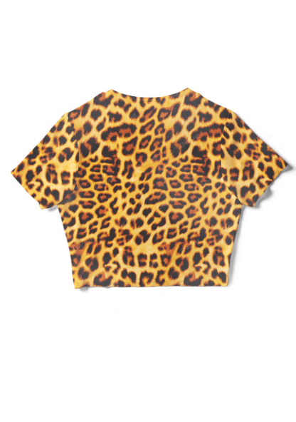 Leopard Print Fashion Y2K Mesh Crop Top Chicshe 