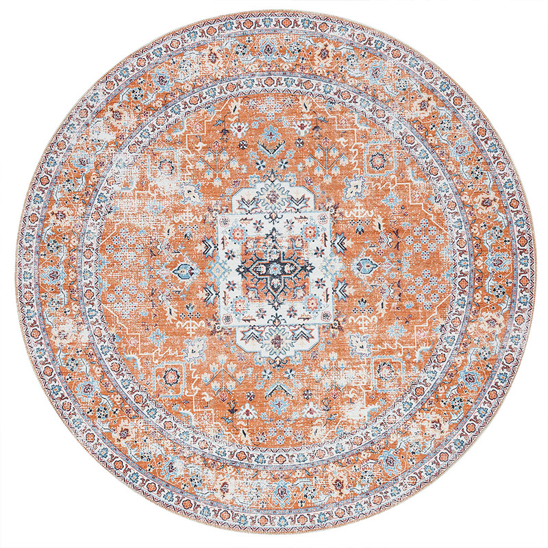 Kaylee Machine Washable and Foldable Vintage Area Rug