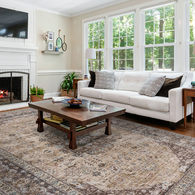 Kaylee Machine Washable and Foldable Vintage Area Rug