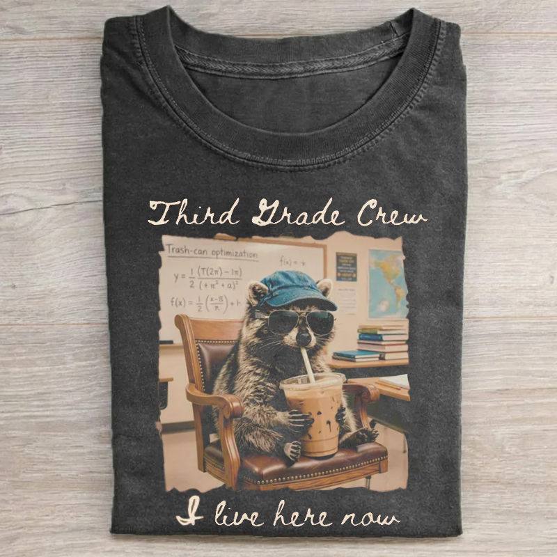  Third Grade Teacher Feral Raccoon T-Shirt