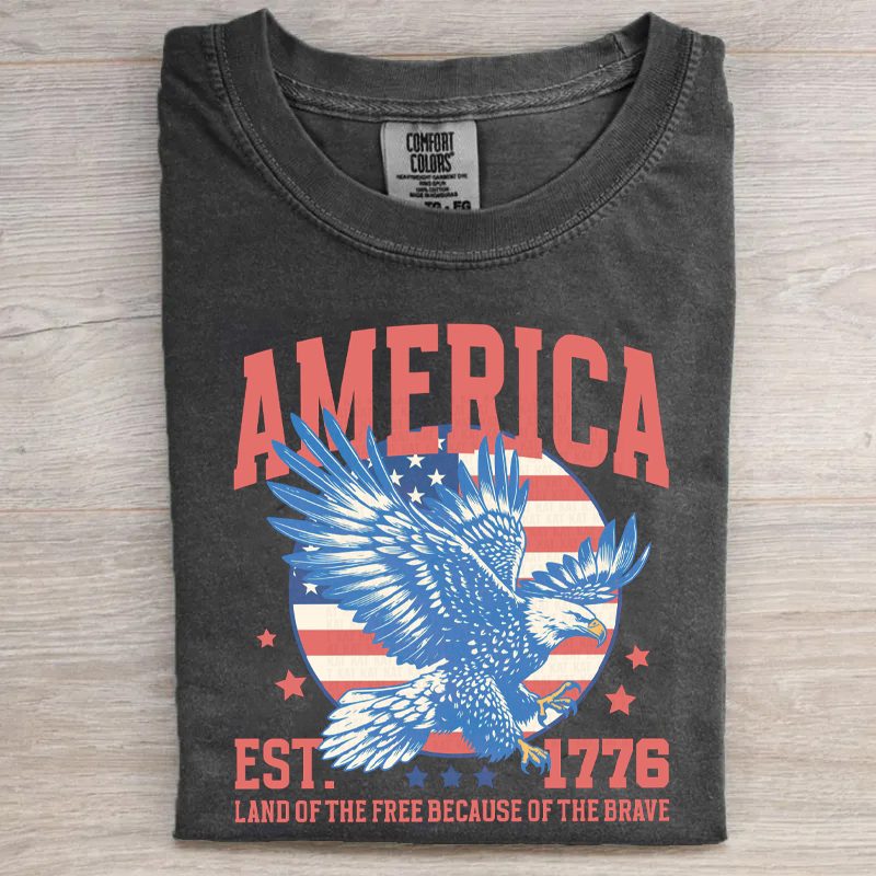 Red White and Blue America 250 T-Shirt