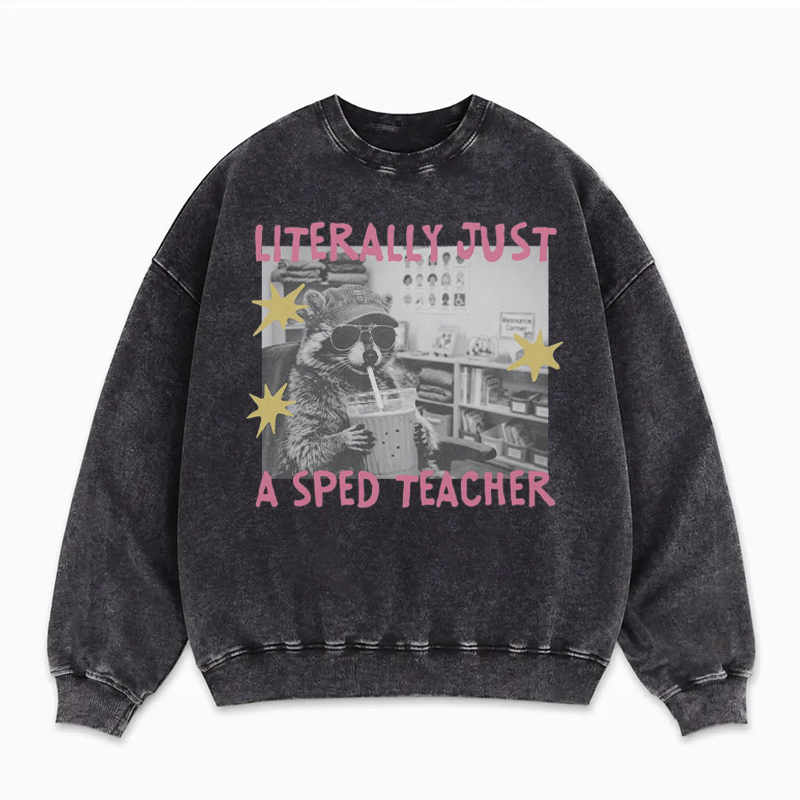 SPED Raccoon Teacher Sweatshirt