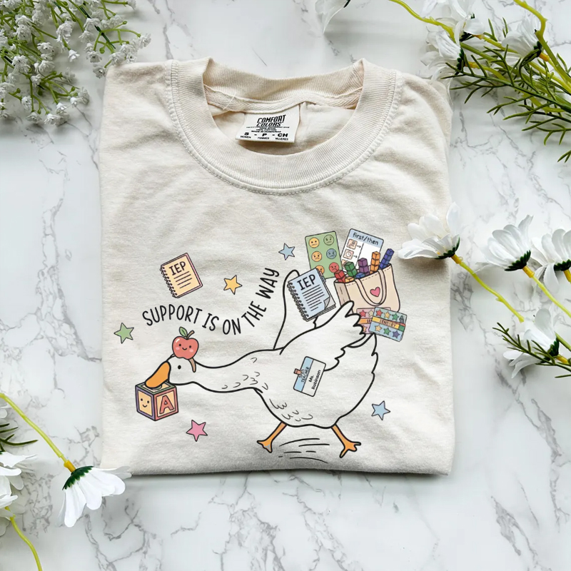 Silly Goose Special Education Teacher T-Shirt