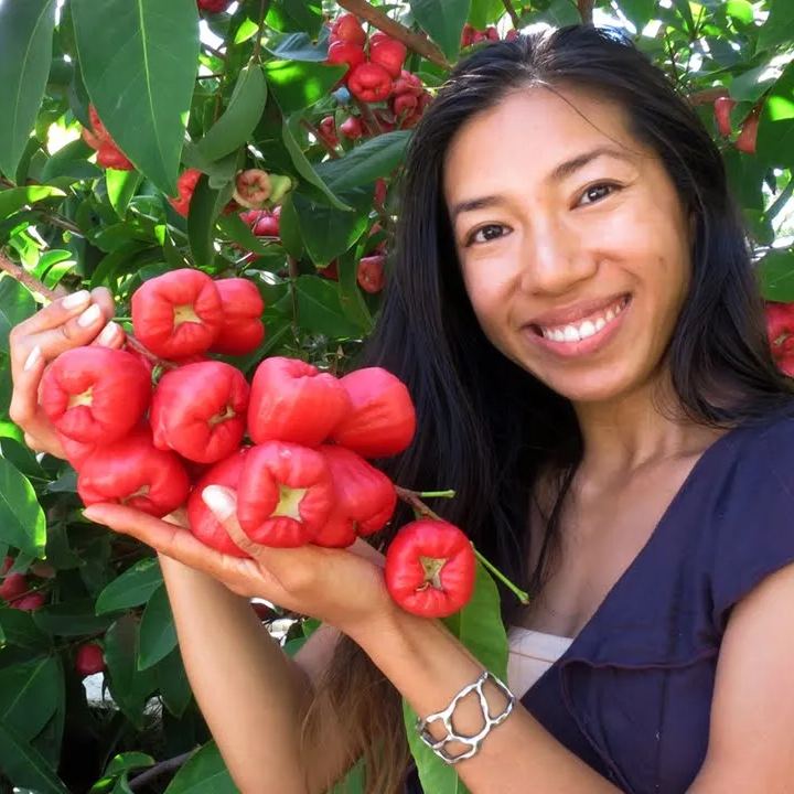 Wax-apple Fruit Seeds🍹