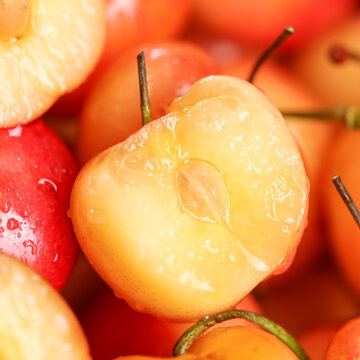 Rainier Cherry Fruit Seeds(🌿Can be planted in winter)