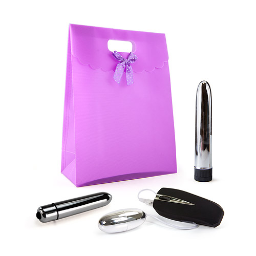 Silver vibrator kit Vibrator gift set for couples