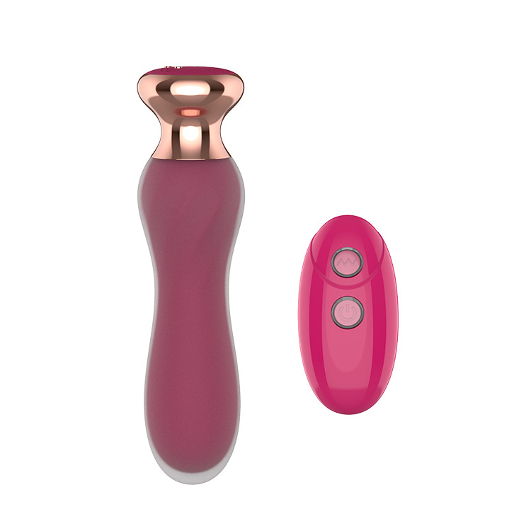 Pink Holic – Curved Remote Vibrating Anal Plug
