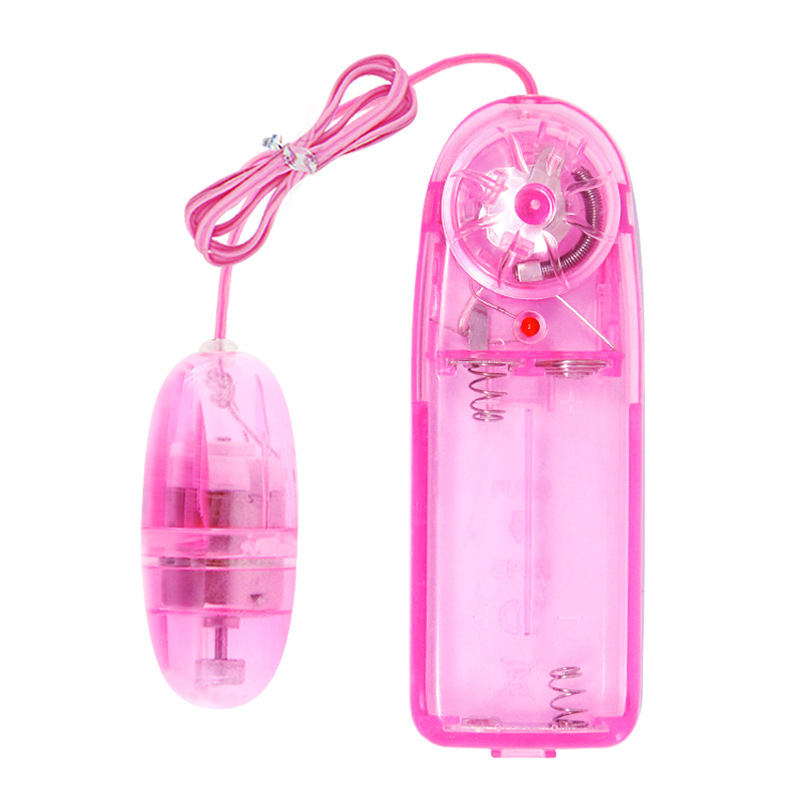 Easy vibes Egg vibrator with control pack