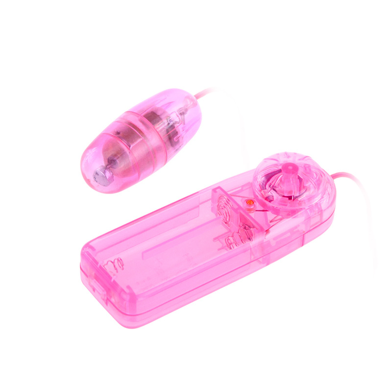 Easy vibes Egg vibrator with control pack