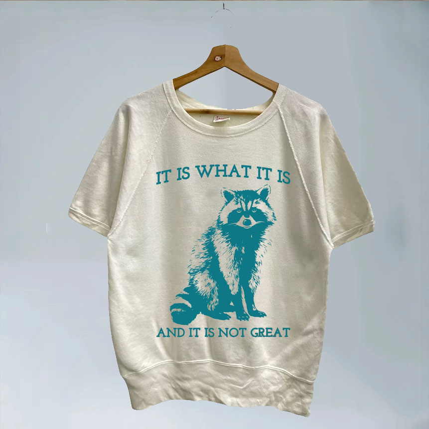 It Is What It Is And It Is Not Great shirt