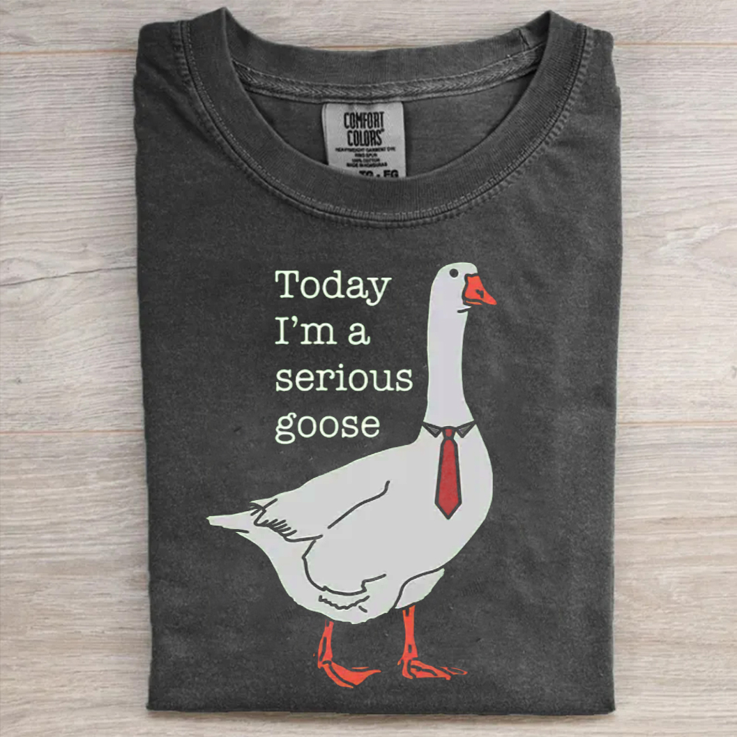Today I'm A Serious Goose T-shirt
