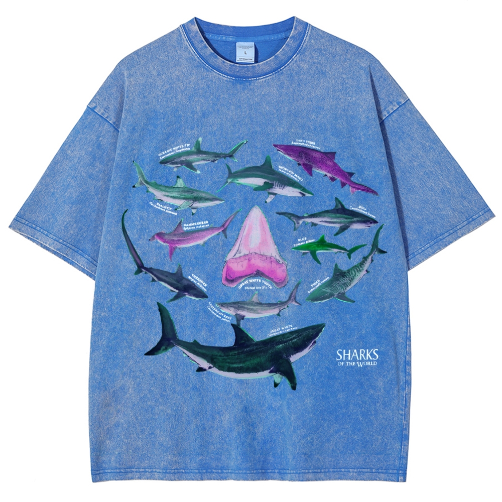 Unisex Vintage Washed Tee