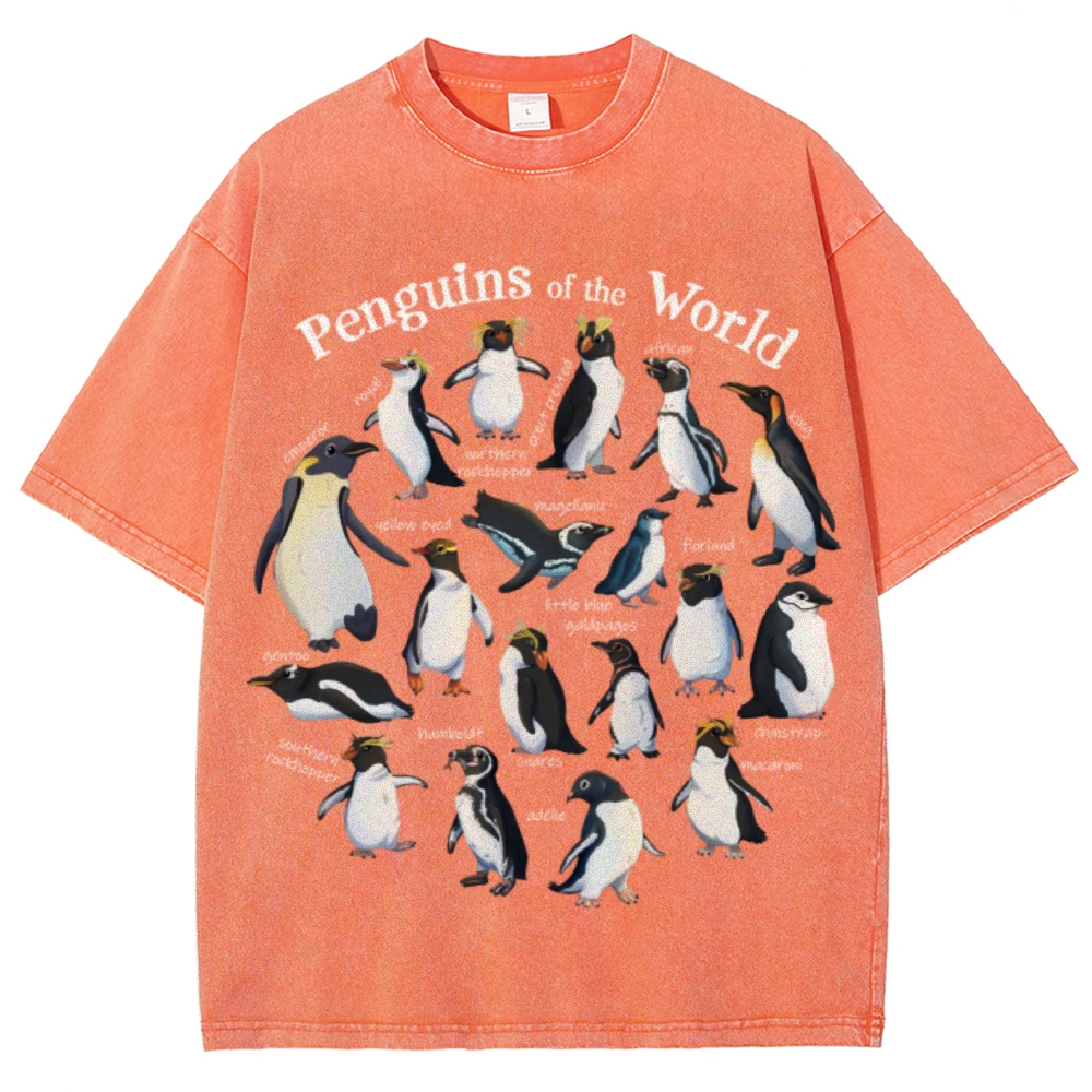 Unisex Vintage Washed Tee