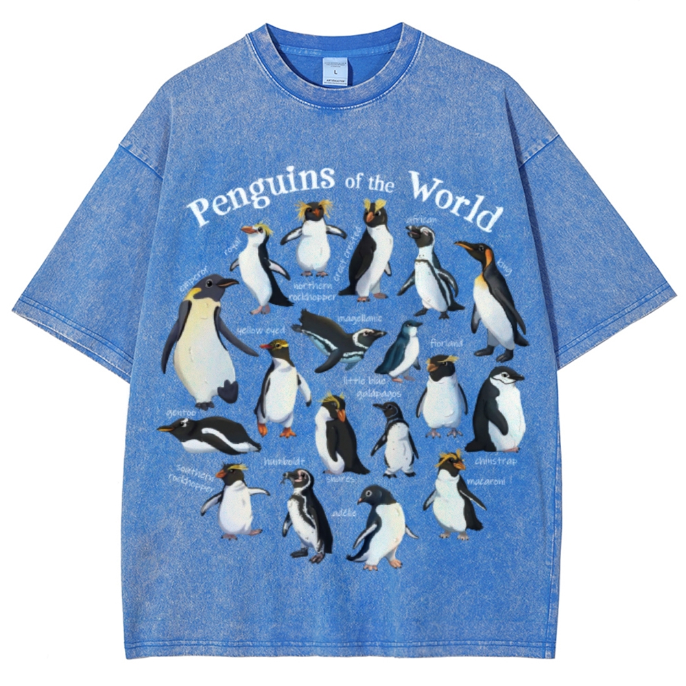 Unisex Vintage Washed Tee