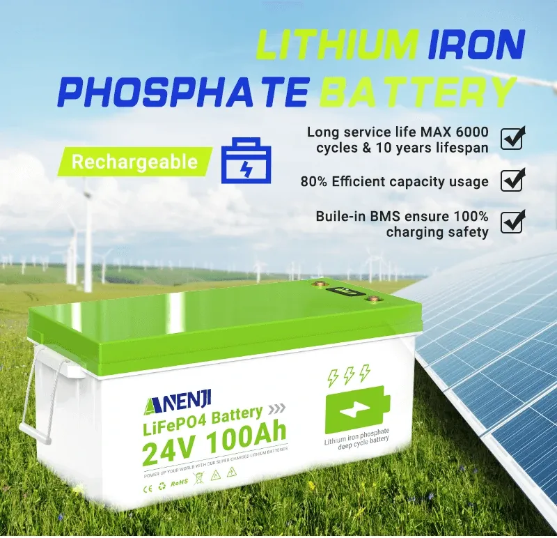 24V 100AH LiFePO4 Battery Deep Cycles Lithium Iron Phosphate Battery