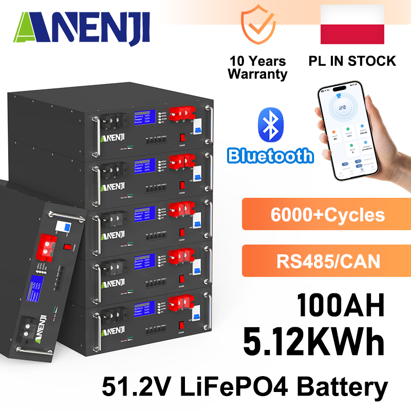 Anenji 51.2V 100Ah Rack-mounted LiFePO4 Battery 6000+ Cycles Built in BMS 5KWH Support Parallel for Solar System