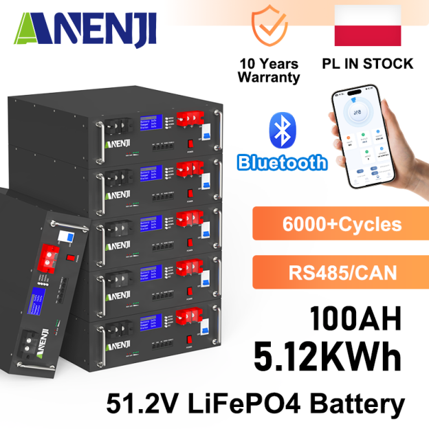Anenji 51.2V 100Ah Rack-mounted LiFePO4 Battery 6000+ Cycles Built in BMS 5KWH Support Parallel for Solar System