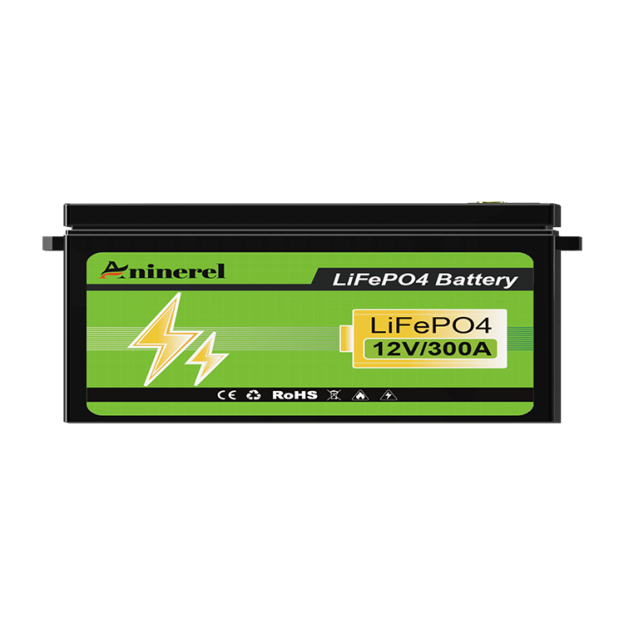 Aninerel LiFePO4 Battery 12.8V 304Ah 3.84Kwh 6000+ Cycles Bluetooth 12V 300Ah Home Solar RV Golf Cart Lithium Battery