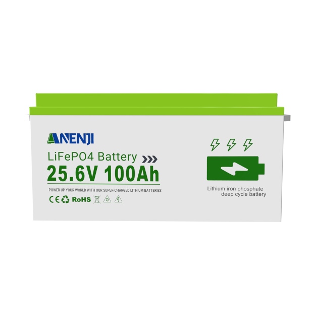 Anenji 25.6V 100AH LiFePO4 Battery