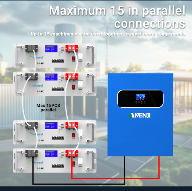 Aninerel 51.2V 100Ah Rack-mounted LiFePO4 Battery 6000+ Cycles Built in BMS 5KWH Support Parallel for Solar System-Anenji Official Store