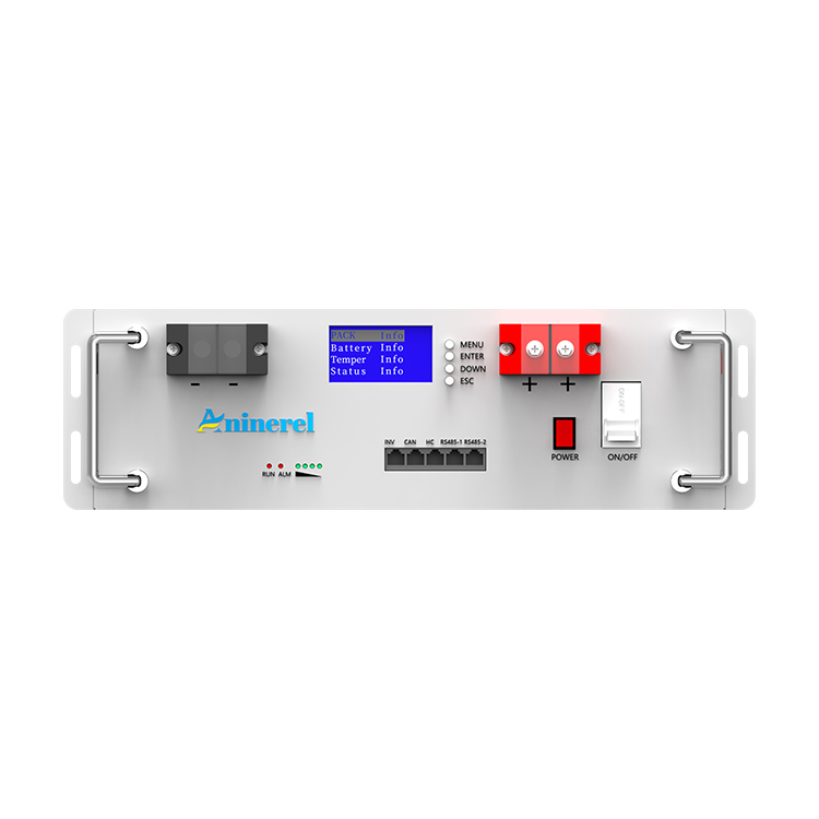 Aninerel 51.2V 100Ah Rack-mounted LiFePO4 Battery 6000+ Cycles Built in BMS 5KWH Support Parallel for Solar System-Anenji Official Store