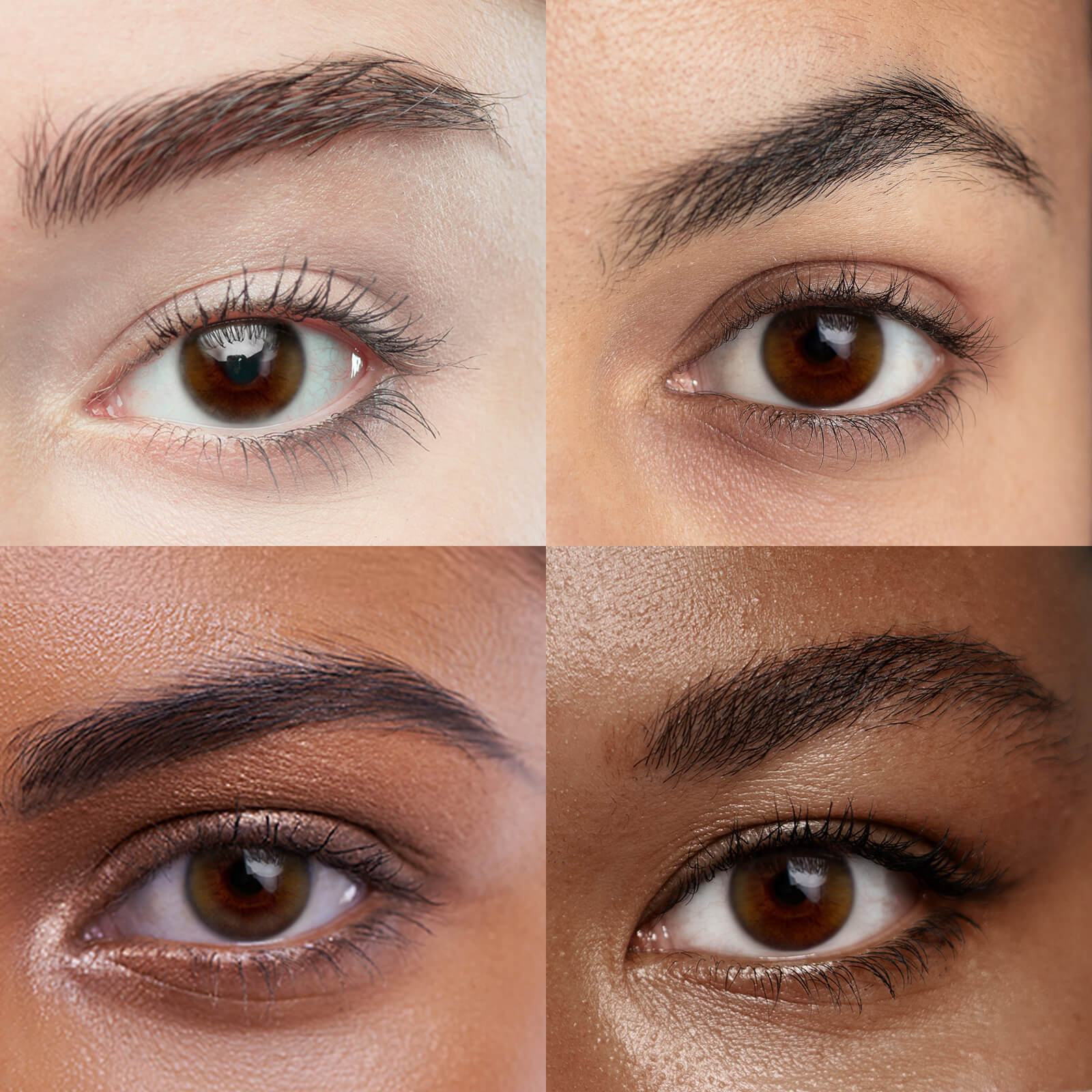 Almond Brown (1-Year)