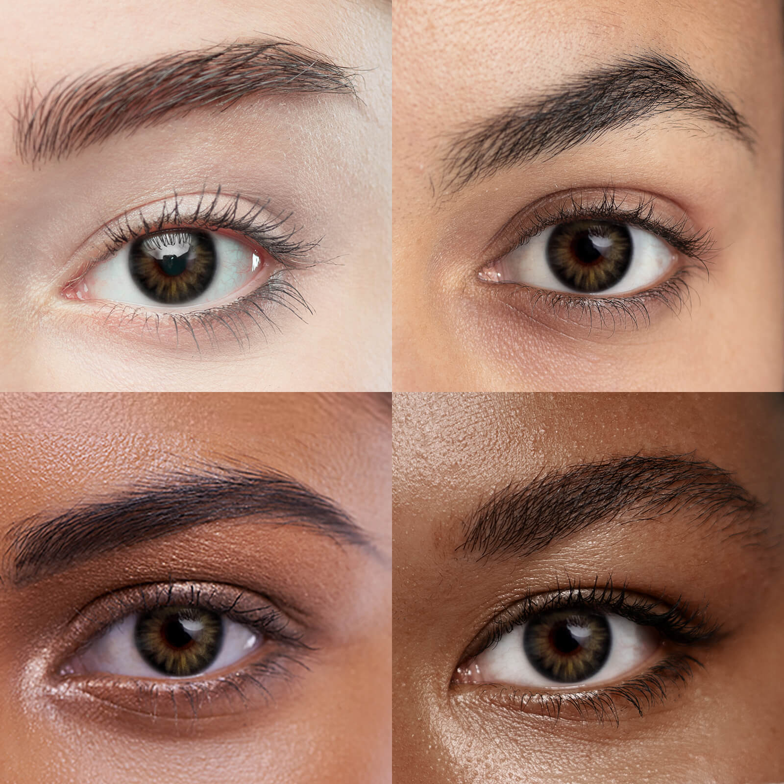 Unibling Golden Nile (1-Year)