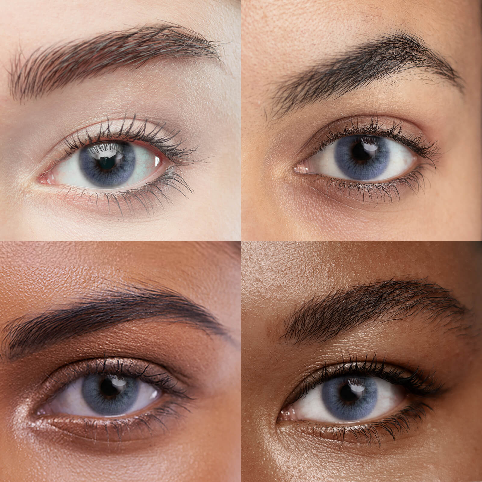 Unibling Comet Purple(1-Year)