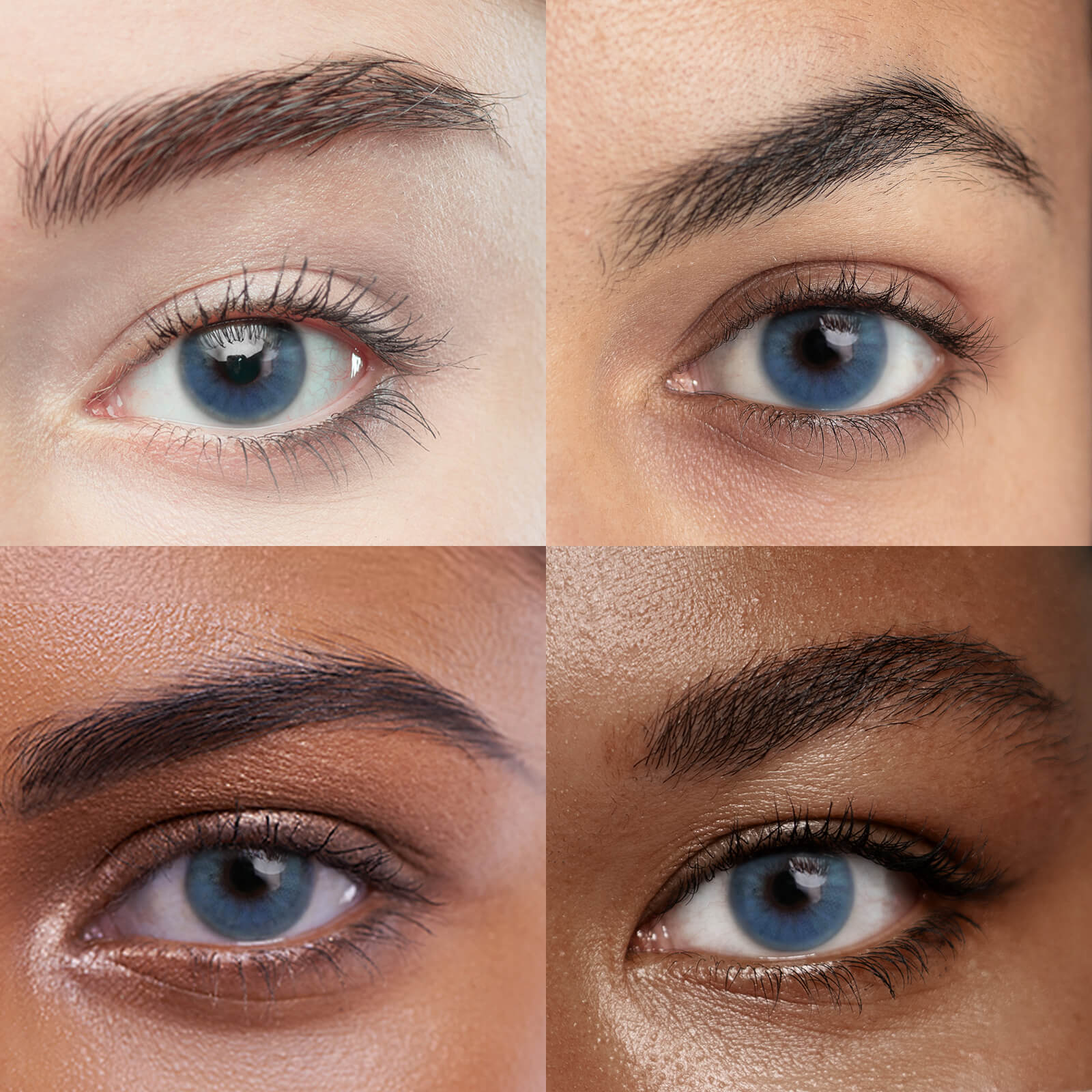 Unibling Lucency Blue (1-Year）