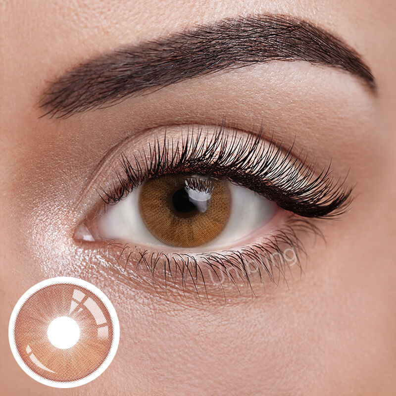Unibling Lucency Brown (1-Year）