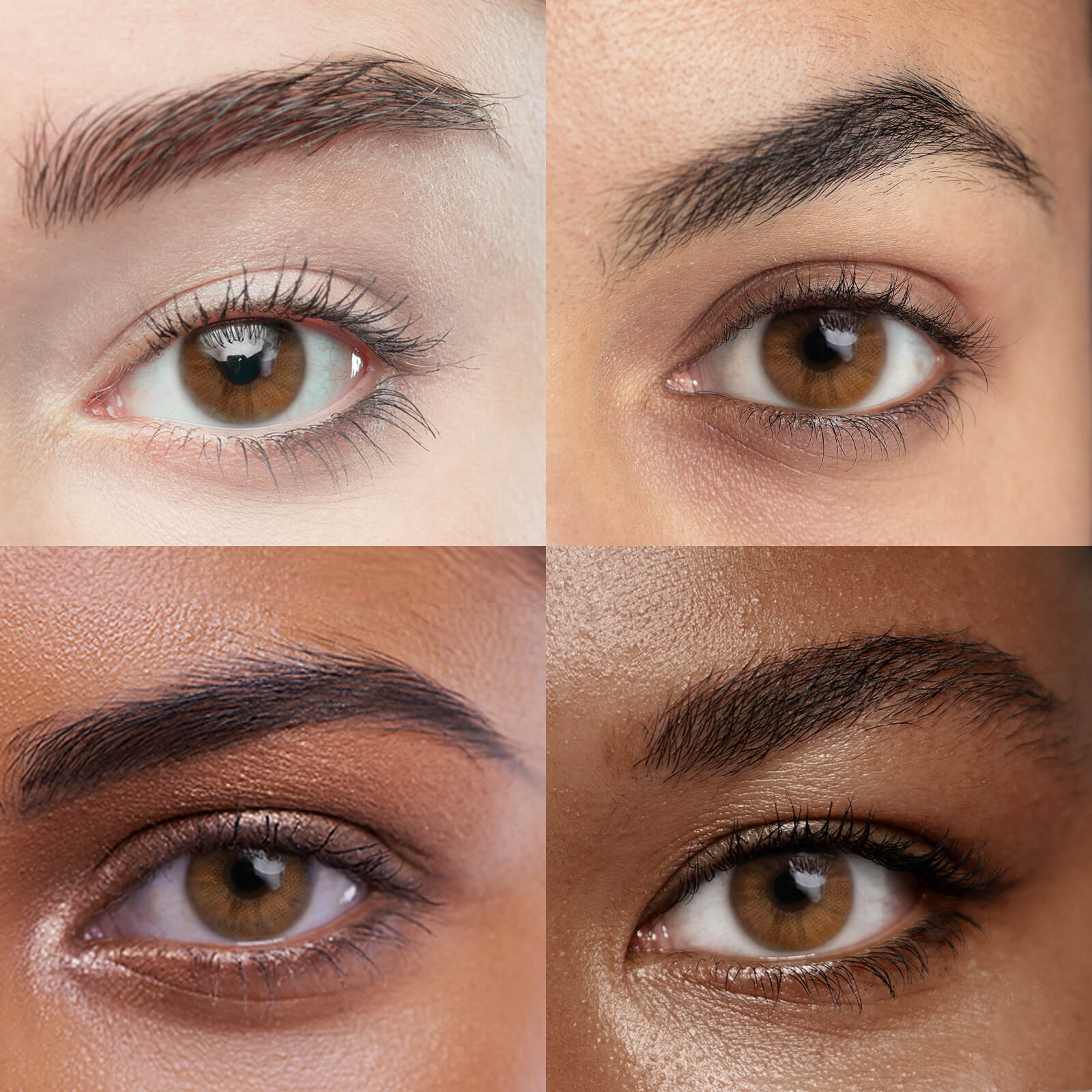 Unibling Lucency Brown (1-Year）