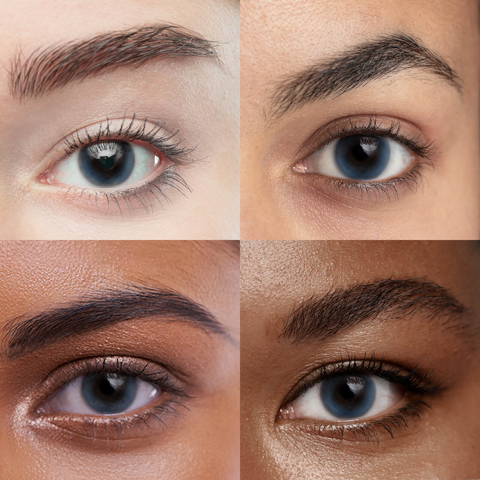 Unibling Nova Blue (1-Year）