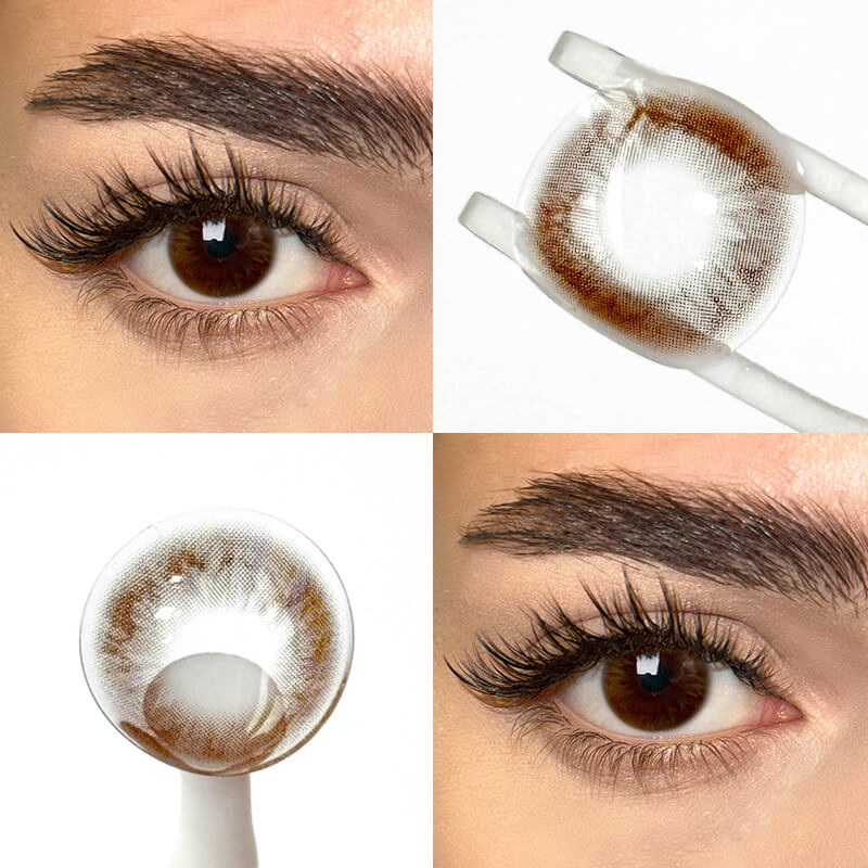 Almond Hazel (1-Year)