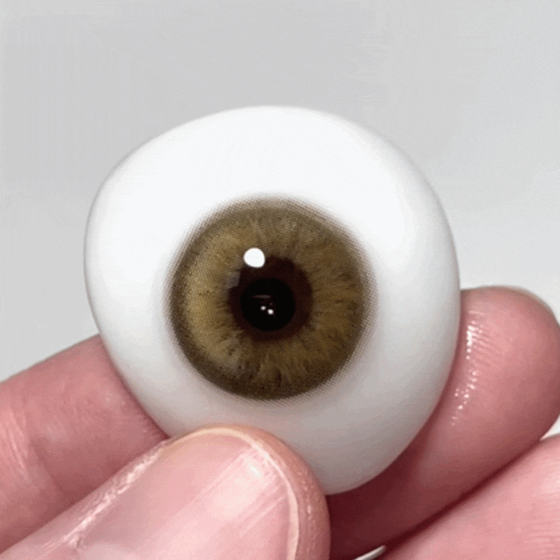 Unibling Bell Brown (1-Year)