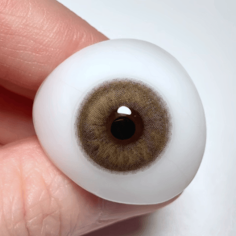 Unibling Bell Brown (1-Year)