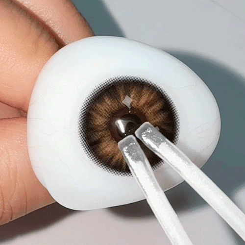 Unibling Golden Nile (1-Year)