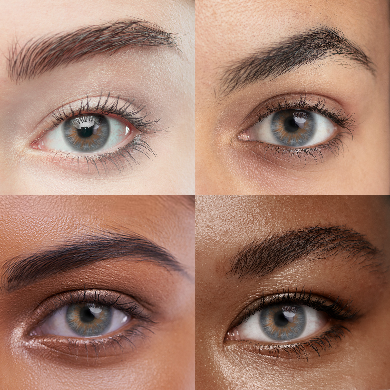 Unibling Wolf Gray(Monthly)