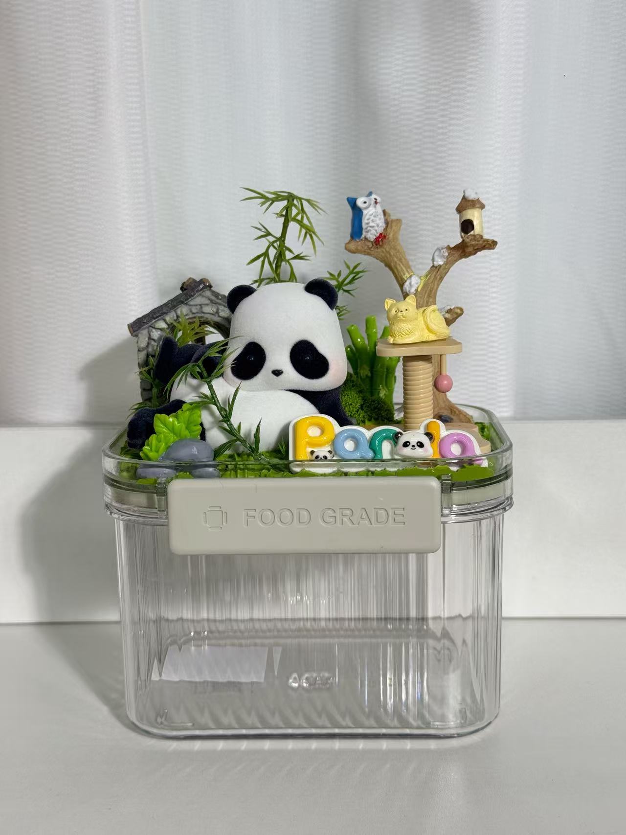 CARINIFY DIY Jar - wish is one more!