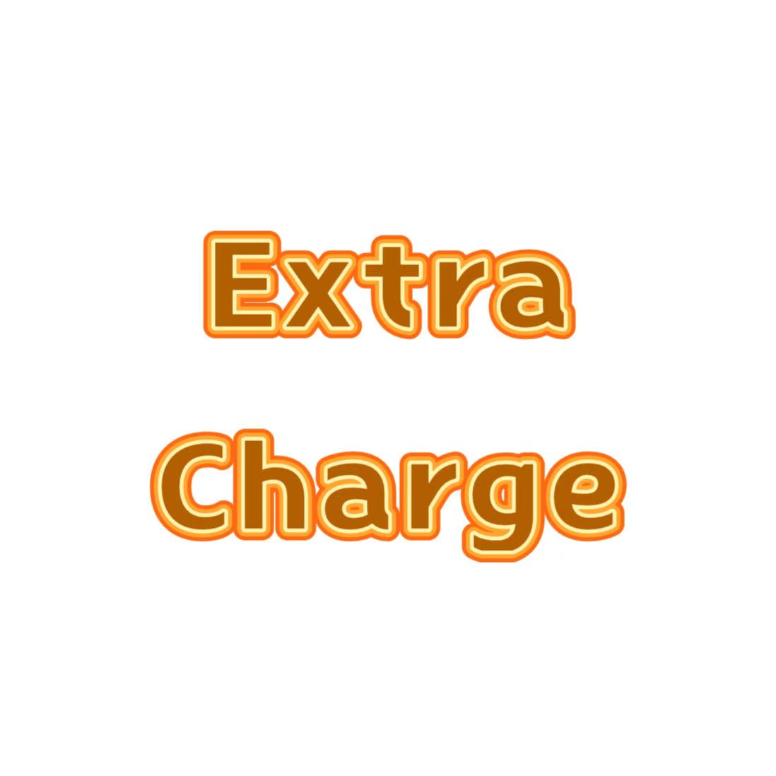  Extra Charge - pay the rest~