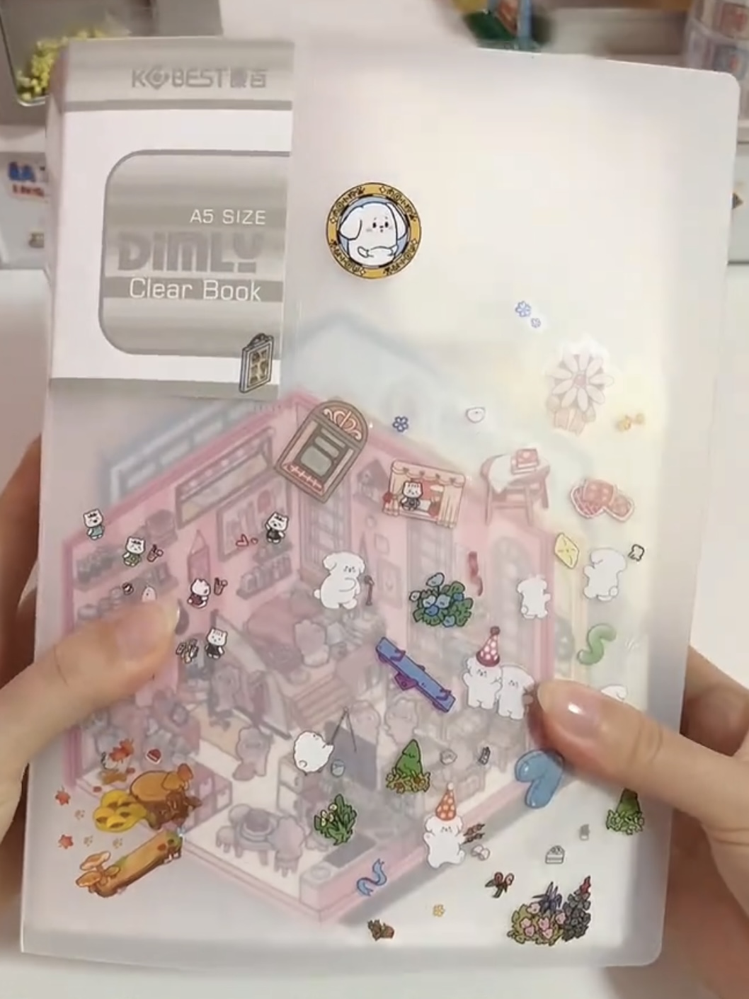 CARINIFY Chill Stickers Matching - double and wish color is 1 more!