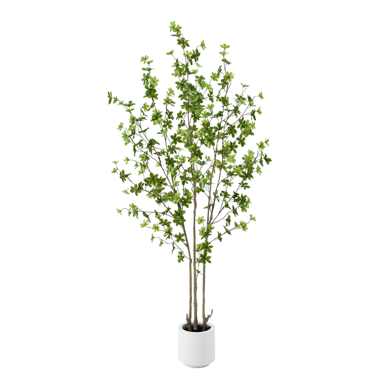 6ft Tall Artificial Enkianthus Tree