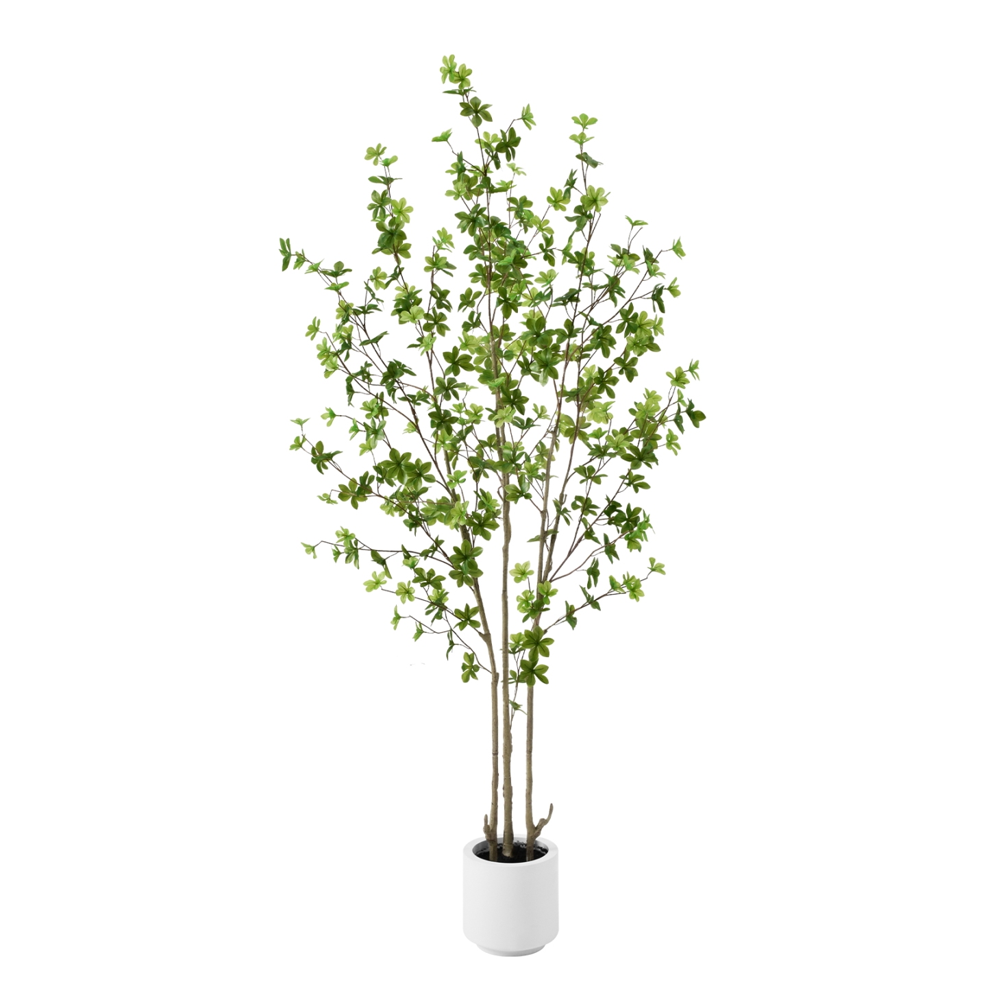 6ft Tall Artificial Enkianthus Tree