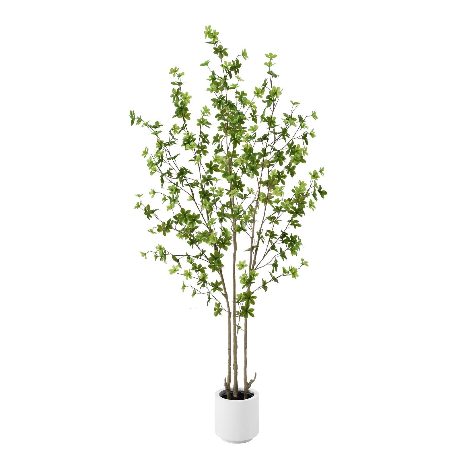 6ft Tall Artificial Enkianthus Tree